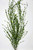 33" XL 6-stem JUNGLE VAL Sea Grass Soft flowing Plastic Wireless Plant, Stone Base, Lower Forty Farm, unique handmade realistic natural-looking artificial aquarium plant