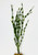 15" SM 2-stem JUNGLE VAL Sea Grass Soft flowing Plastic Wireless Plant, Stone Base, Lower Forty Farm, unique handmade realistic natural-looking artificial aquarium plant, Betta safe