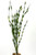 15" SM 2-stem JUNGLE VAL Sea Grass Soft flowing Plastic Wireless Plant, Stone Base, Lower Forty Farm, unique handmade realistic natural-looking artificial aquarium plant, Betta safe