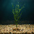 15" SM 2-stem JUNGLE VAL Sea Grass Soft flowing Plastic Wireless Plant, Stone Base, Lower Forty Farm, unique handmade re