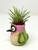 3.5" Potted BABY HUMMINGBIRD Blob House Mini pot WITH faux Mini Ionantha Air plant, handmade original filled artificial planter by Lower Forty Farm, OOAK unique gift, home office decor