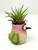 3.5" Potted BABY HUMMINGBIRD Blob House Mini pot WITH faux Mini Ionantha Air plant, handmade original filled artificial planter by Lower Forty Farm, OOAK unique gift, home office decor