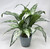 19" Large SILVER QUEEN AGLAONEMA artificial silk Sword plant, 5.5" Blue Ceramic Planter Pot, handmade original by filled artificial planter by Lower Forty Farm, OOAK unique gift, home office decor
