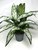 19" Large SILVER QUEEN AGLAONEMA artificial silk Sword plant, 5.5" Blue Ceramic Planter Pot, handmade original by filled artificial planter by Lower Forty Farm, OOAK unique gift, home office decor