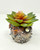 4" Potted SUSHI Coral BLOW FISH Blob House Mini pot WITH faux Succulent as shown, handmade original filled artificial planter by Lower Forty Farm, OOAK unique gift, home office decor