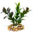 3" Mini BROWN-Green BOXWOOD Plastic Plant, Stone Base, Lower Forty Farm, unique handmade realistic natural-looking artificial aquarium plant 3" Mini BROWN-Green BOXWOOD Plastic Plant, Stone Base, Lower Forty Farm, unique handmade realistic natural-looking artificial aquarium plant