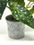 13" Potted Angel Wing Spotted Begonia SILK plant in Abstract gray-blue ceramic pot, handmade original by filled artificial planter by Lower Forty Farm, OOAK unique gift, home office decor