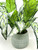 18" Large SILVER QUEEN AGLAONEMA artificial silk Sword plant, 5" Cream-green Ceramic Planter Pot, handmade original by filled artificial planter by Lower Forty Farm, OOAK unique gift, home office decor