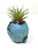 4 in. Potted Blue Monster MURPHY Blob House Mini pot WITH faux Ionantha Air plant, handmade original filled artificial planter by Lower Forty Farm, OOAK unique gift, home office decor