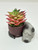 2.5" Potted Baby SLEEPING DOG Blob House Mini pot WITH faux Red-Green Succulent as shown, handmade original filled artificial planter by Lower Forty Farm, unique gift, home office decor