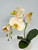 Artificial peach-colored orchid in small cream textured pot with leaves