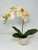 Artificial peach-colored orchid in small cream textured pot with 4 leaves