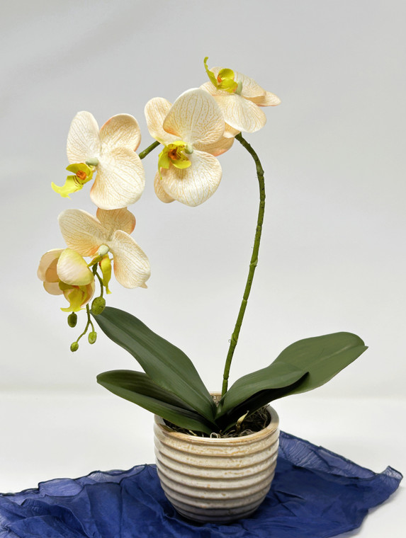 16" Artificial Pale Blush PEACH ORCHID Silk plant potted in Cream-tan striped Ceramic Pot, handmade original by artificial planter by Lower Forty Farm, realistic unique gift, home office decor