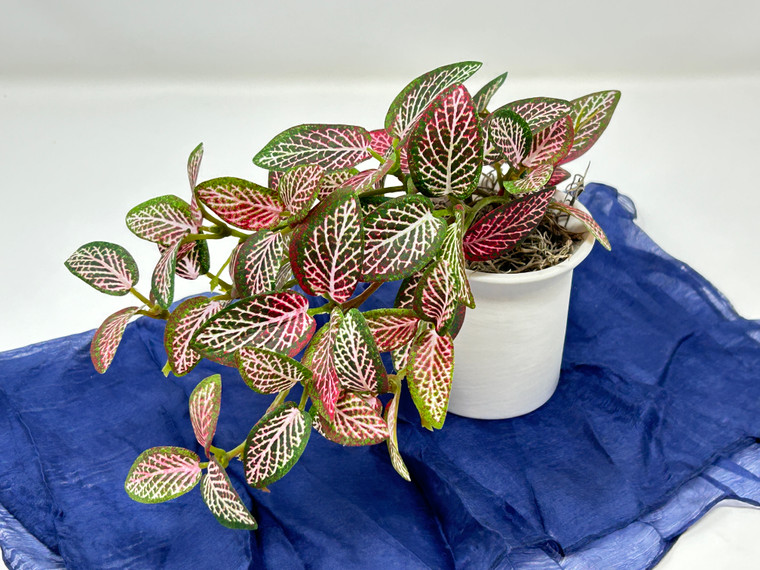 6.5" Pink Fittonia Nerve faux Silk plant potted in Matte White Ceramic Pot, handmade original by Lower Forty Farm, home office decor