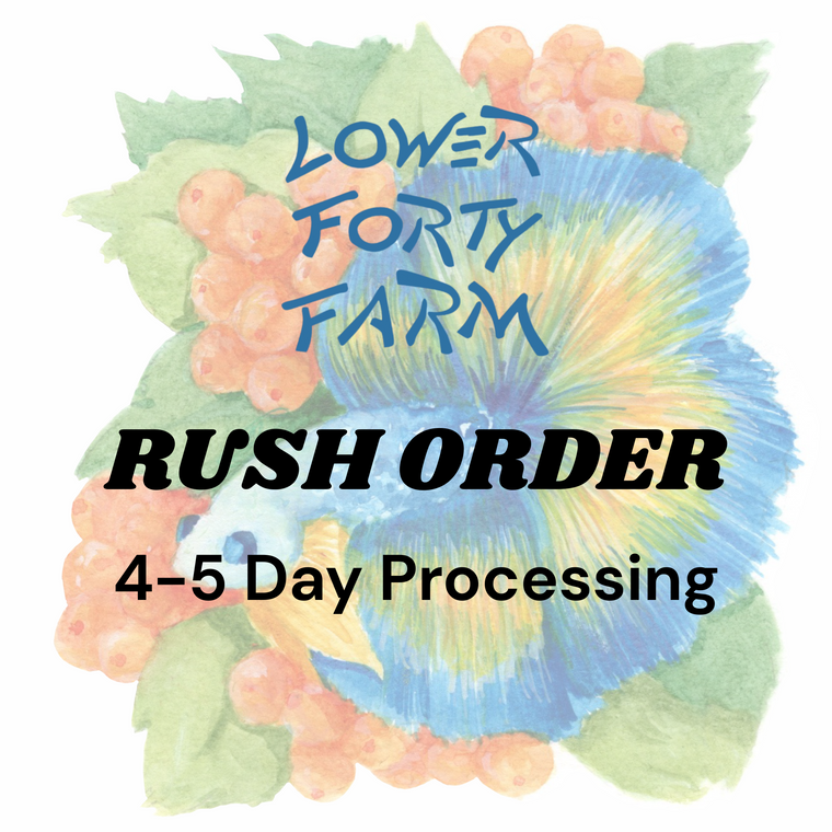 RUSH ORDER Upgrade - Skip the Line - 4-5 day Order Processing