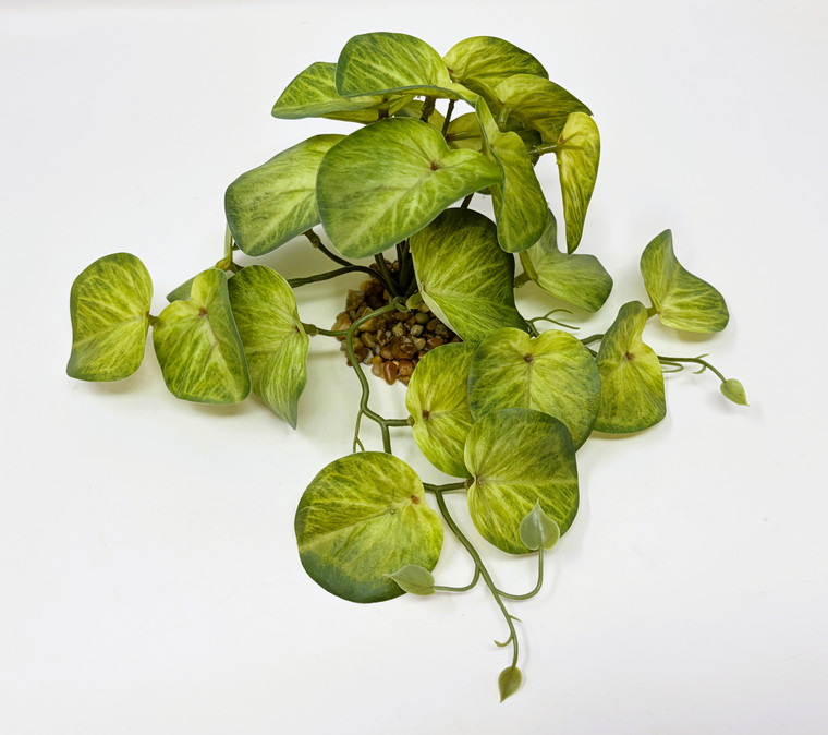Variegated Potato Vine 5"x 9" silk aquarium plant, stone base, Lower Forty Farm artificial aquarium plant, Goldfish & Betta-safe