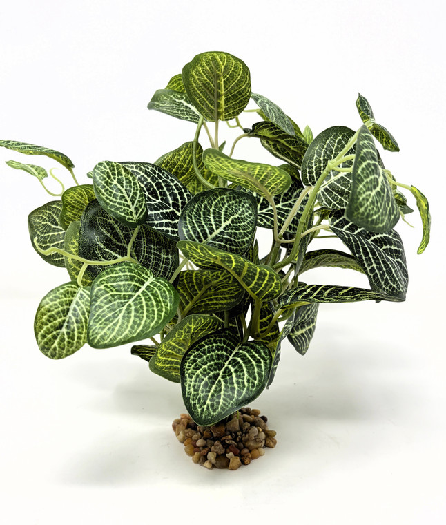 10" tall Green-White Fittonia NERVE Silk Aquarium plant, STONE base, Lower Forty Farm, Goldfish & Betta-safe plant,  artificial aquarium plant