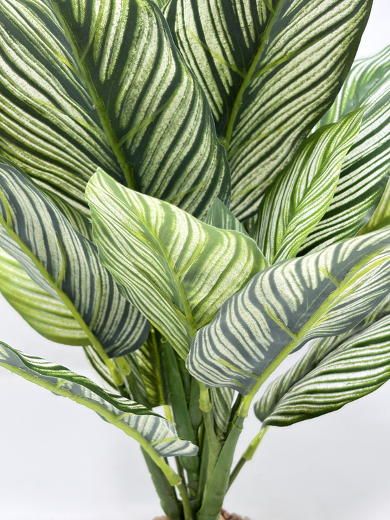 14" Large Green-White ZEBRA Philo BUSH Silk Philodendron aquarium Plant, Stone base, Goldfish & Betta-safe plant, Lower Forty Farm artificial aquarium plant