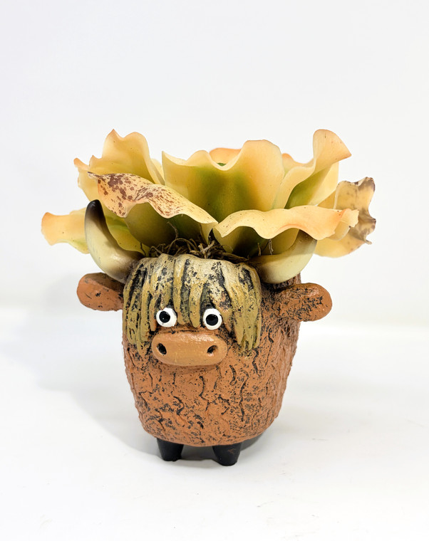 4" POTTED Dougal HIGHLAND COW Blob House Mini pot WITH soft Echeveria Succulent as shown, filled artificial planter by Lower Forty Farm, OOAK unique gift, home office decor
