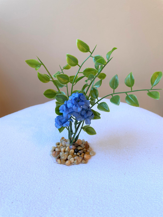 Blue flower & pea leaf plant