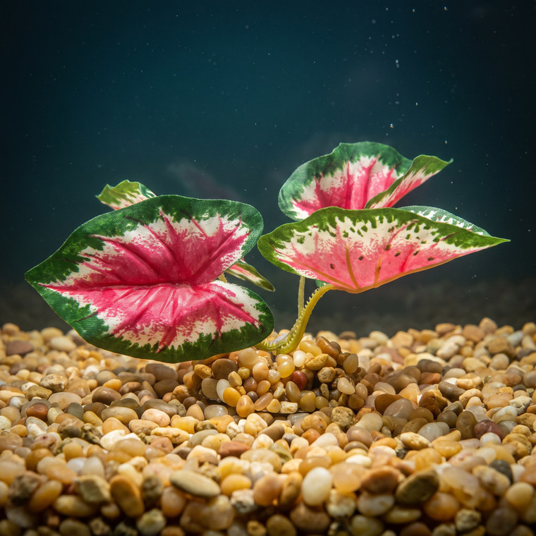 2.5" tall MINI 4-leaf Pink & Green CALADIUM Bush silk Goldfish & Betta-safe plant, stone base, Lower Forty Farm artifici