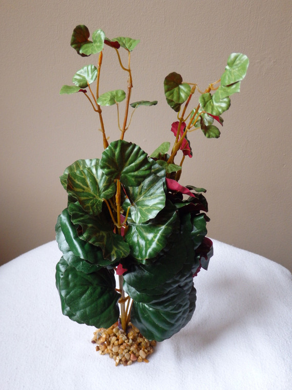 12" Md CREEPING CHARLIE Bush  Green & Burgundy silk leaves, Stone Base