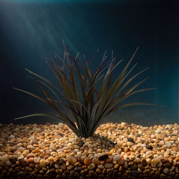 10-11" Thick LG BROWN-Green Autumn Vanilla SWORD Grass Realistic Artificial Aquarium soft plastic plant, stone base, Low