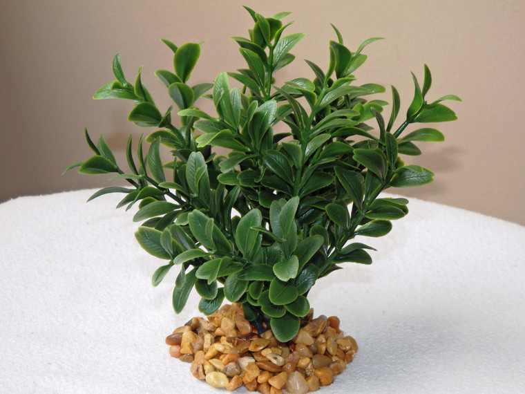 5" Sage Green BOXWOOD BUSH plastic Plant w/ Stone base