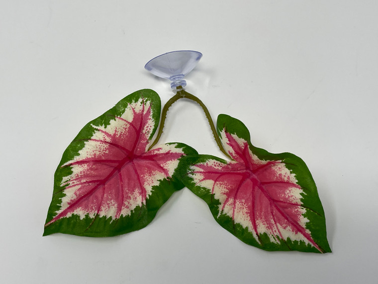 2-leaf Soft Betta Hammock!! Pink & Green Caladium Leaves Silk Plant w/ SUCTION CUP