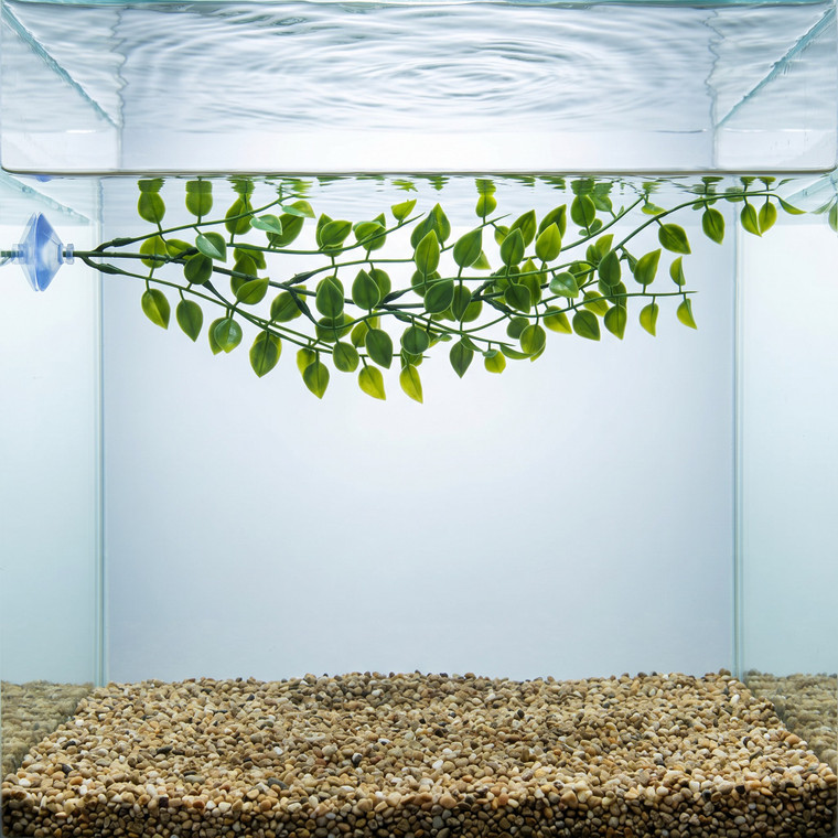 12 Floating Pea Leaf Betta Hammock soft plastic Plant, SUCTION CUP base, Lower Forty Farm artificial aquarium plant
