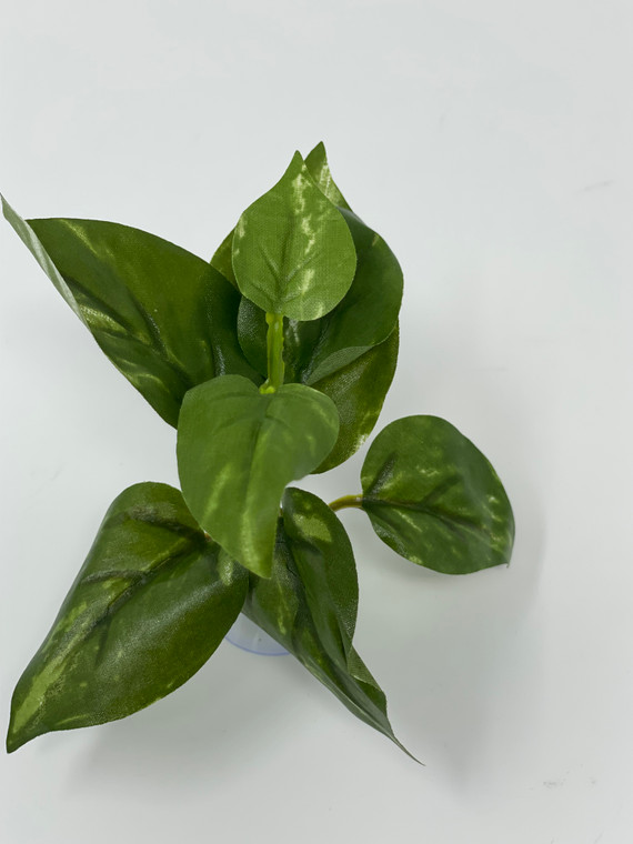 Green & White Pothos Silk Betta safe Plant, SUCTION CUP base, Lower Forty Farm artificial aquarium plant