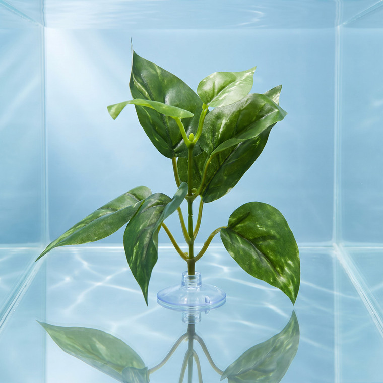 Green & White Pothos Silk Betta safe Plant, SUCTION CUP base, Lower Forty Farm artificial aquarium plant