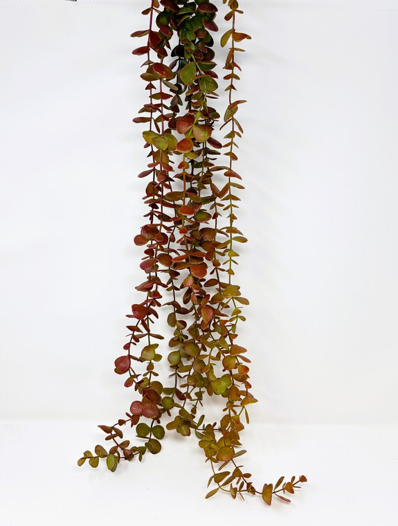 Hanging Fake Red-Green EUCALYPTUS Plant, DRY HABITAT ONLY or Home Decor
