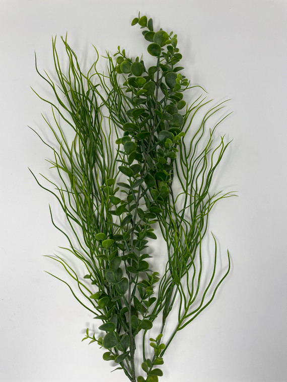 Bacopa & Curly Sea Grass