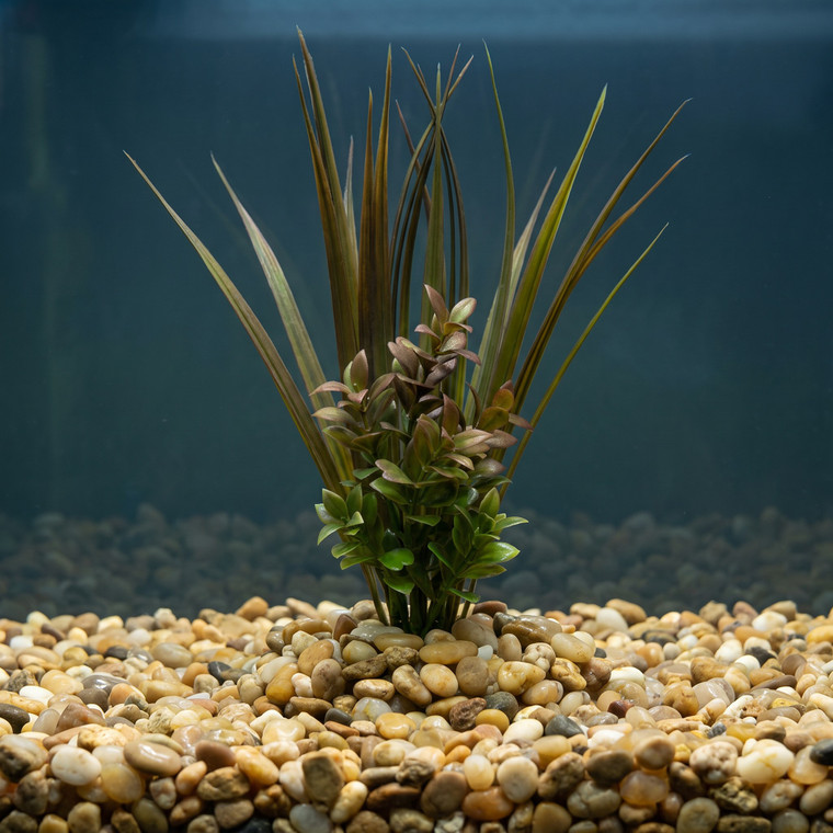 10" BROWN Vanilla SWORD Grass & Brown BOXWOOD combo plant 803A, stone base, Realistic Artificial Aquarium plastic plant,