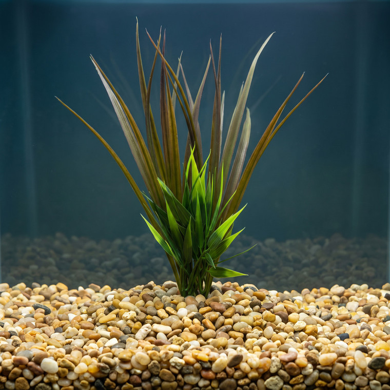 10" BROWN Vanilla SWORD Grass & BAMBOO combo plant 806, stone base, Realistic Artificial Aquarium plastic plant, Lower F