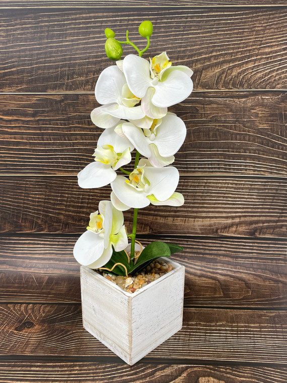 16" Potted White PHALAENOPSIS ORCHID faux Silk flower plant in White wood box - Home Decor