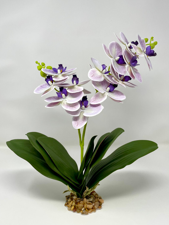 14-16" Double PURPLE Phalaenopsis ORCHID Soft Silk Aquarium flower plant, Stone base