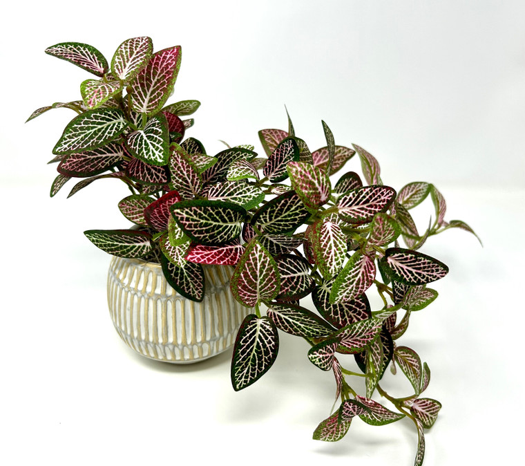 9" Small Artificial PINK FITTONIA NERVE faux Silk plant potted in Cream-Gray Ceramic Pot