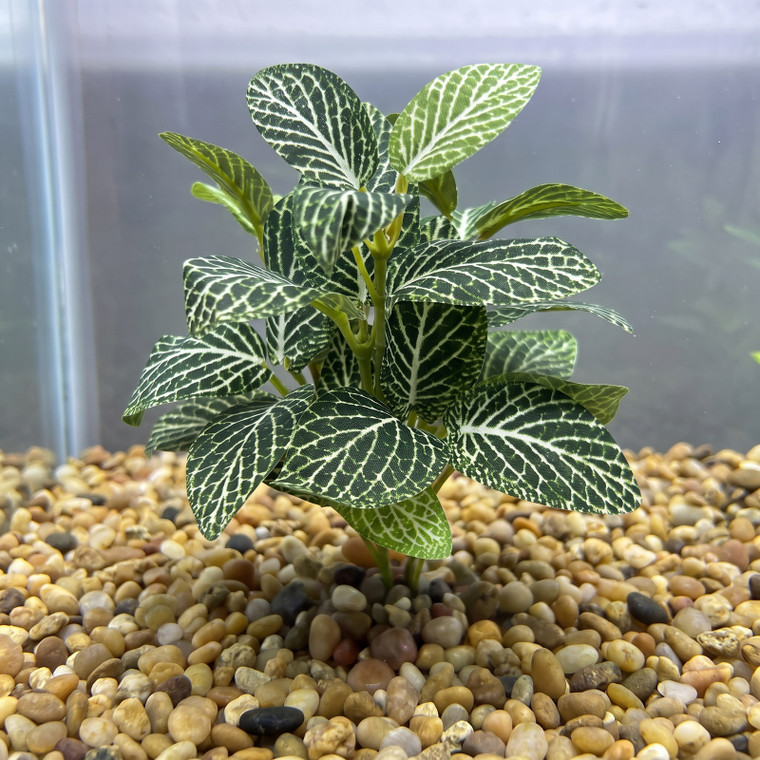 5" SM Dk Green Fittonia NERVE Silk Aquarium plant, STONE base, Goldfish & Betta-safe plant, Lower Forty Farm artificial aquarium plant