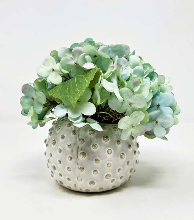 ⭕️⭕️無印良品ドナルドサルタンhydrangea in a green pot⭕️⭕️ Mini 5.5