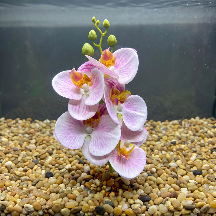 9" Pale PINK Phalaenopsis DOUBLE ORCHID Soft Silk Aquarium flower plant, Stone base, Goldfish & Betta-safe plant, Lower Forty Farm, realistic artificial aquarium plant