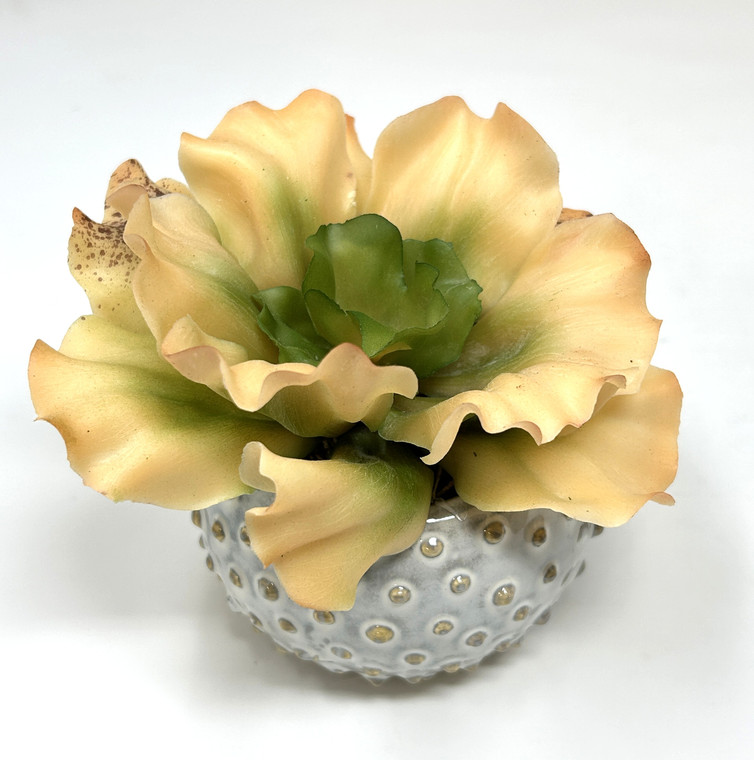 5" Artificial Soft PEACH & Olive Green Soft Curly Echeveria Cabbage SUCCULENT, 3" Ceramic White Dotted Pot, handmade original filled artificial planter by Lower Forty Farm, OOAK unique gift, home office decor