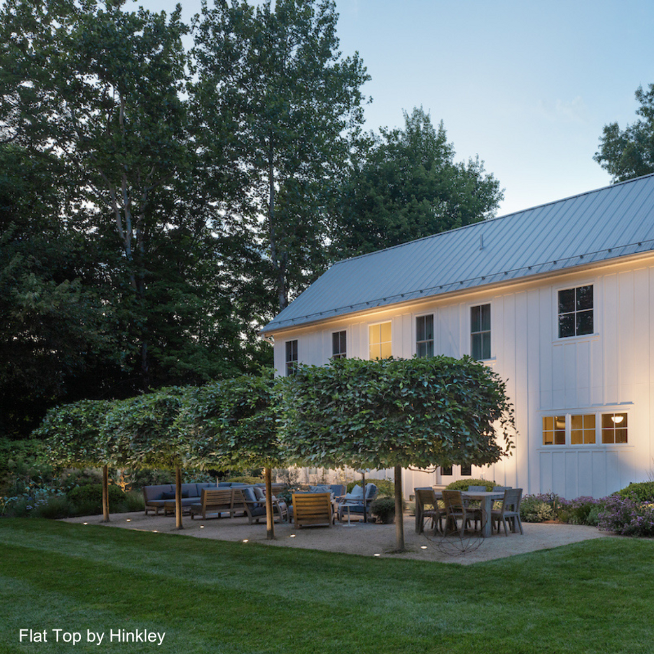 Outdoor Landscape Lighting