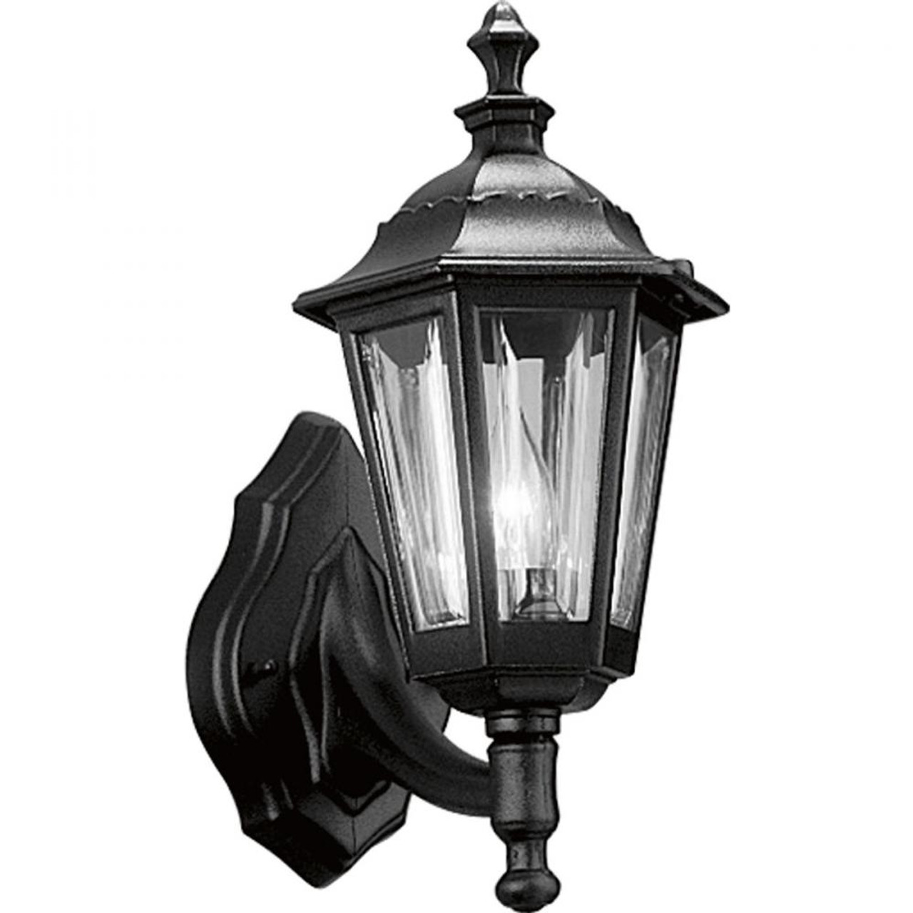 Progress Lighting Onion Lantern Collection 4-Light Textured Black