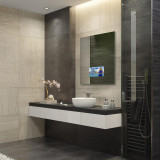 Electric Mirror Loft Mirror Television, 15.6" HD Television Display, 40"H x 30"W x 1.75"D (LOF-156-AV-3040 YUU6011X49) 