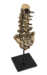 Noir Vertebrae Sculpture 