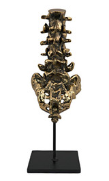 Noir Vertebrae Sculpture 