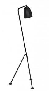 Noir Asti Floor Lamp, 1-Light, Matte Black, 72"H (LAMP445MTB YUU6013FYP) 