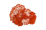Phillips Collection Flower Wall Art, Small, Orange, 25"W (TH83080 YV0J07T72T) 